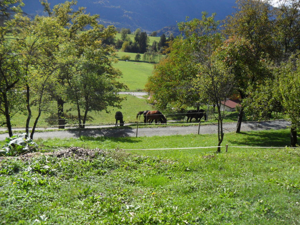 Ferienhaus Warmuth Sankt Stefan an der Gail Exterior photo