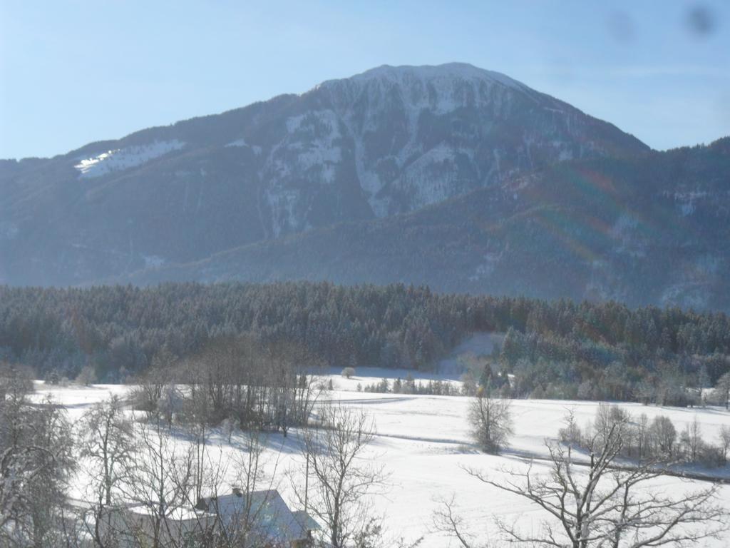 Ferienhaus Warmuth Sankt Stefan an der Gail Exterior photo